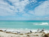Vol pas cher Miami Vol pas cher Miami