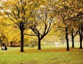 New York, Hyde Park New York, Hyde Park