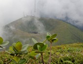 Guadeloupe, Soufrière
