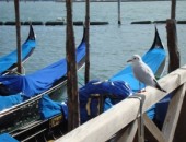 Venise, Gondoles Venise, Gondoles