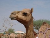 Vol pas cher Agadir Vol pas cher Agadir