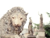 Lima, Culture Lima, Culture