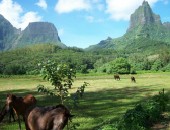 Tahiti, les collines verdoyantes Tahiti, les collines verdoyantes