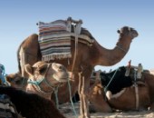 Vol pas cher Tunisie Vol pas cher Tunisie