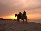 Vol pas cher Djerba Vol pas cher Djerba