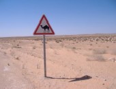 Djerba, Desert Djerba, Désert
