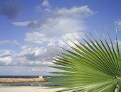 Djerba, Plage