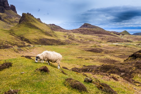 ecosse-paysage-2