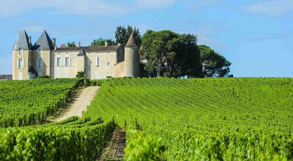 Route des vins Bordeaux