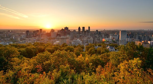 Parc du Mont Royal Montréal Shutterstock