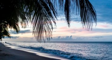 Terra incognita : voyage en Guyane