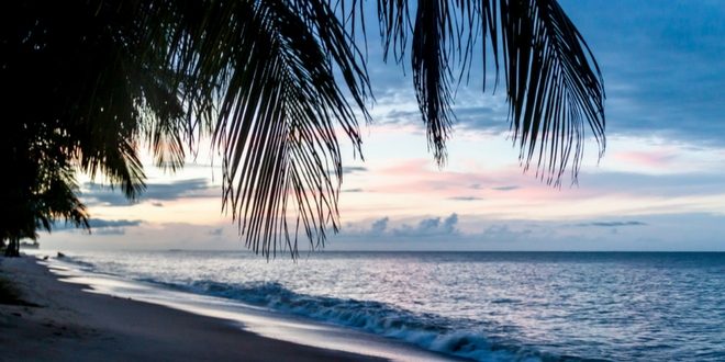 Guyane_cover
