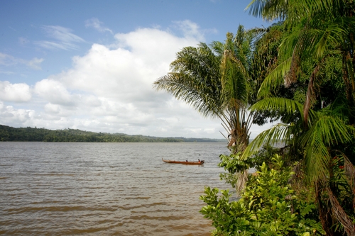 Le fleuve Maroni