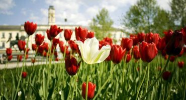 5 destinations week-end originales pour fêter le printemps
