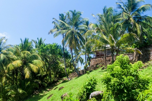 îles Salut