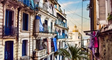 Terra incognita : voyage en Algérie