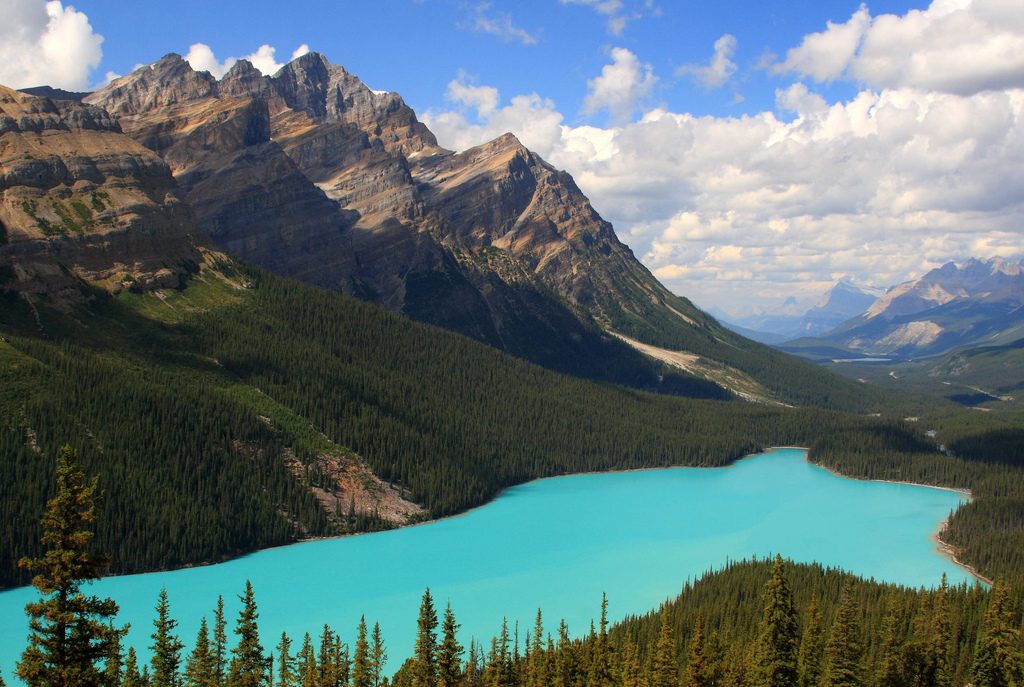 canada sauvage
