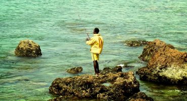 Terra incognita : écotourisme au Sénégal