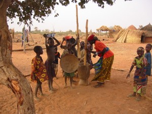 Pilage du Mil au Niger Niger