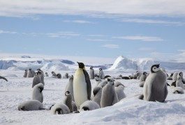Comment combattre la chaleur en été
