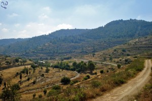 Gan HaChayot Depuis la route, vers le réservoir