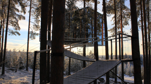Tree Hotel, Suède