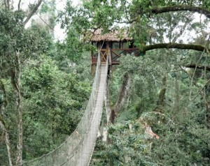 Inkaterra Reserva Amazona Pérou