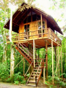 Tree Hotel Costa Rica