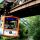 Métro suspendu de Wuppertal