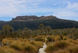 L’Australie : un pays qui touche les 5 sens