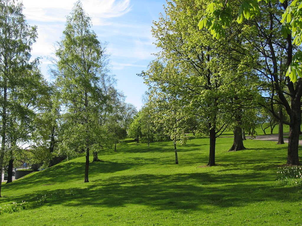 Colline dominant Helsinki