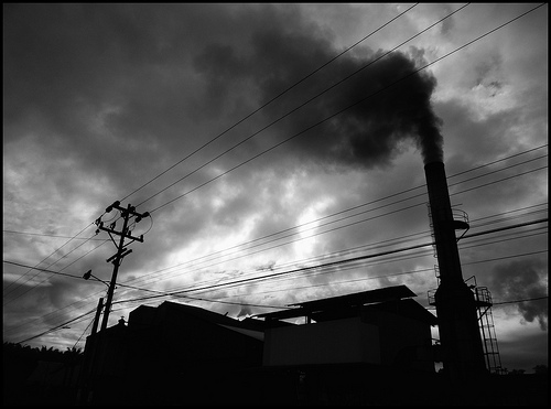 Pollution Pollution