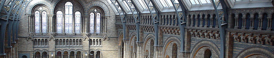 Musée d'histoire naturelle