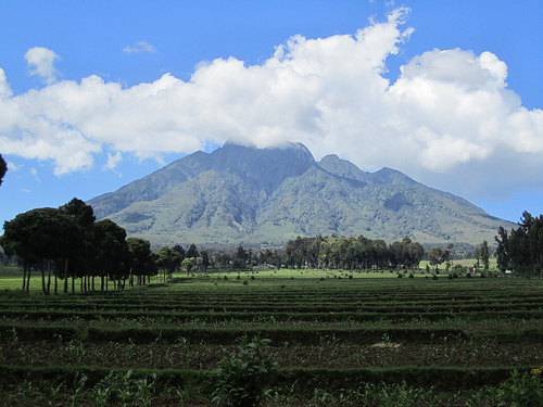 Parc national des Volcans
