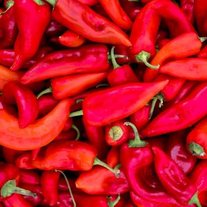 Piments 1