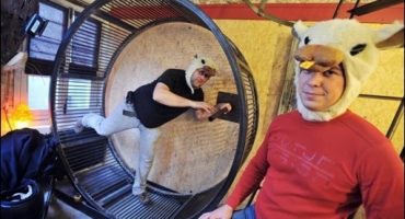 Hôtel : dans la peau d’un Hamster