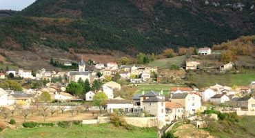 Ecouter le brame du cerf dans les Cévennes