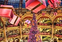 4 sapins magnifiques aux 4 coins du monde. Joyeux Noël !