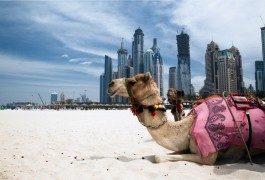 La plus grande roue panoramique du monde sera à Dubaï