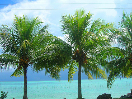 samoa2