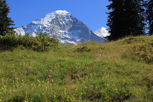 eiger-face-nord