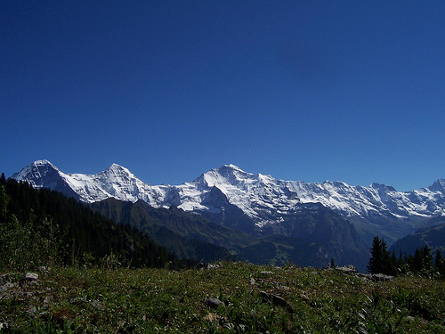 panorama