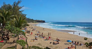 Les requins ne tueront pas le tourisme à La Réunion !