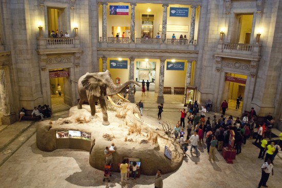 musee-washington
