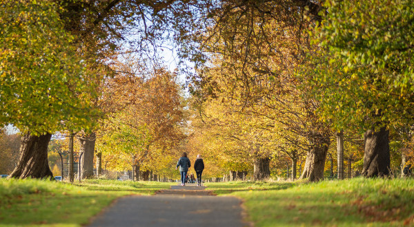Phoenix Park Dublin iStock