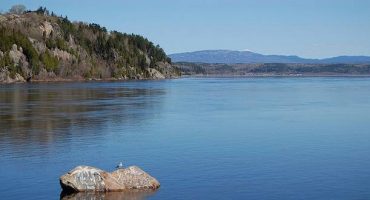 Canada : observer des baleines dans l’estuaire du Saint-Laurent