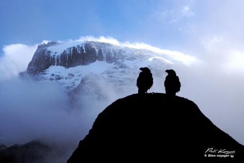 L'ascension du Kilimandjaro, première étape pour Piotr et son "défi des 7 sommets"