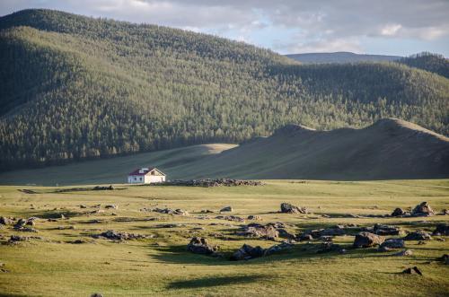Paysage de Mongolie