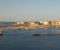 Corse 120x100