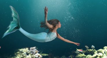 Les Sirènes Academies : voyagez et devenez une véritable sirène !
